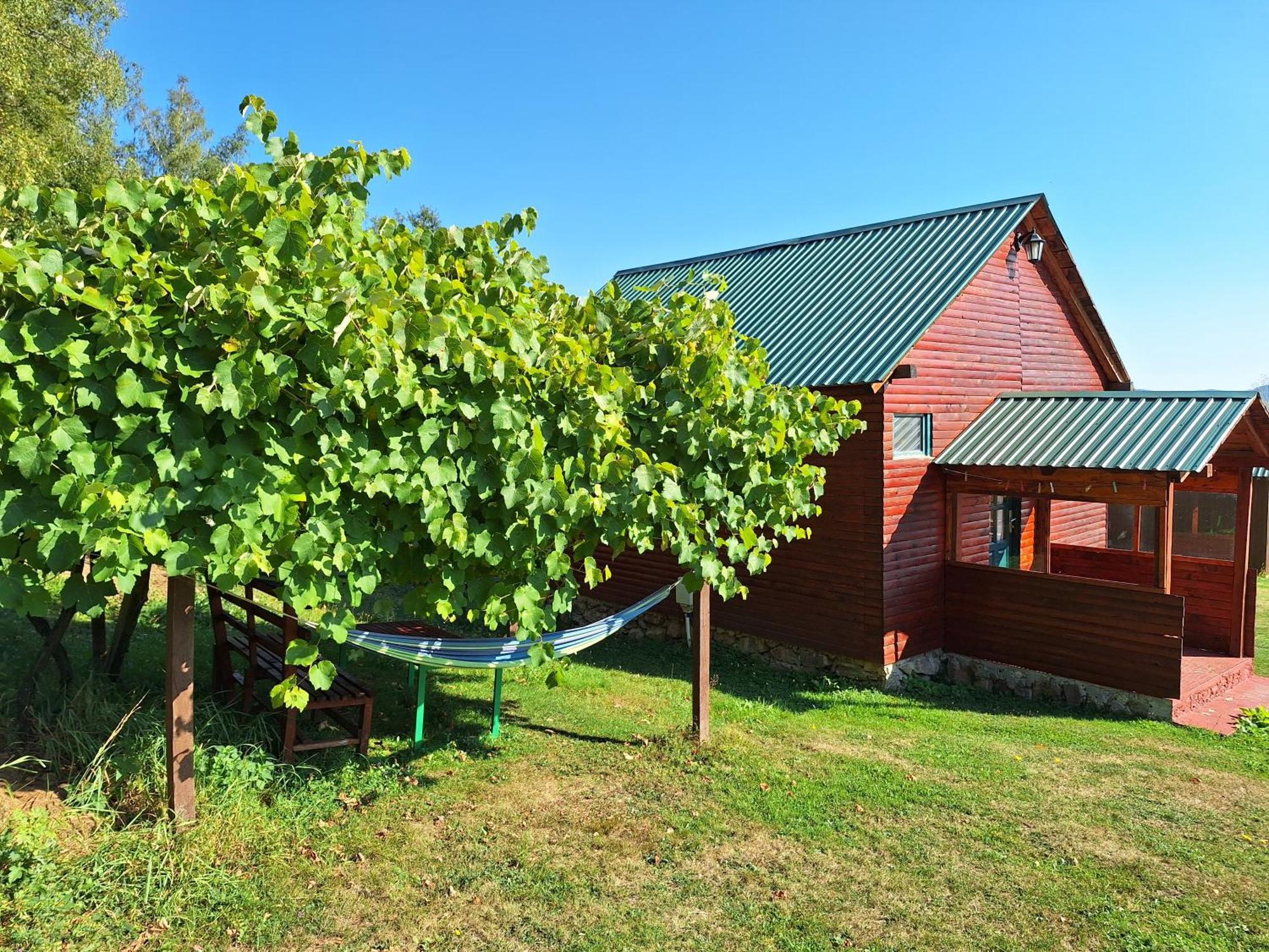 Kolibe Coric Villa Mojkovac Buitenkant foto