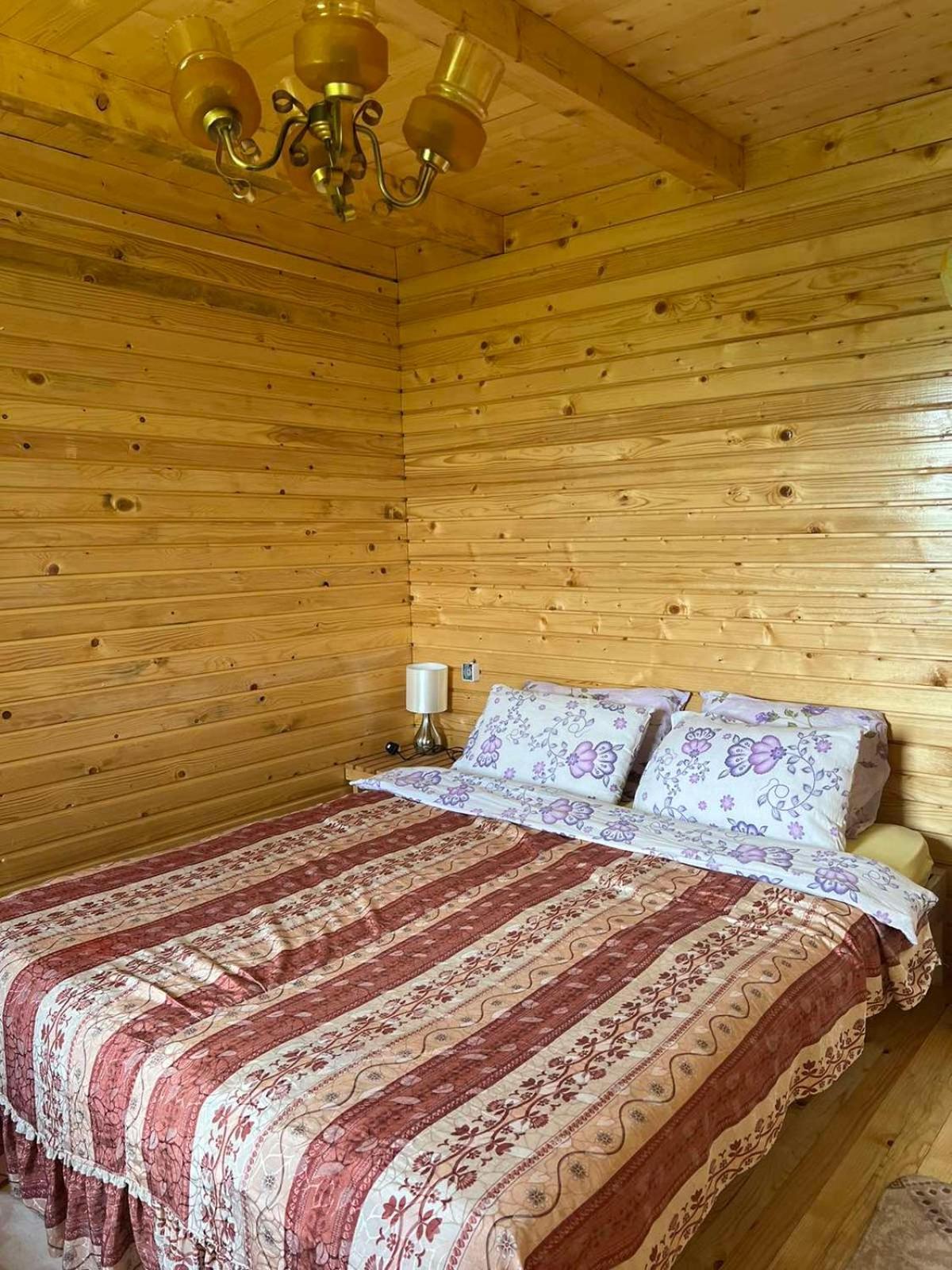 Kolibe Coric Villa Mojkovac Buitenkant foto