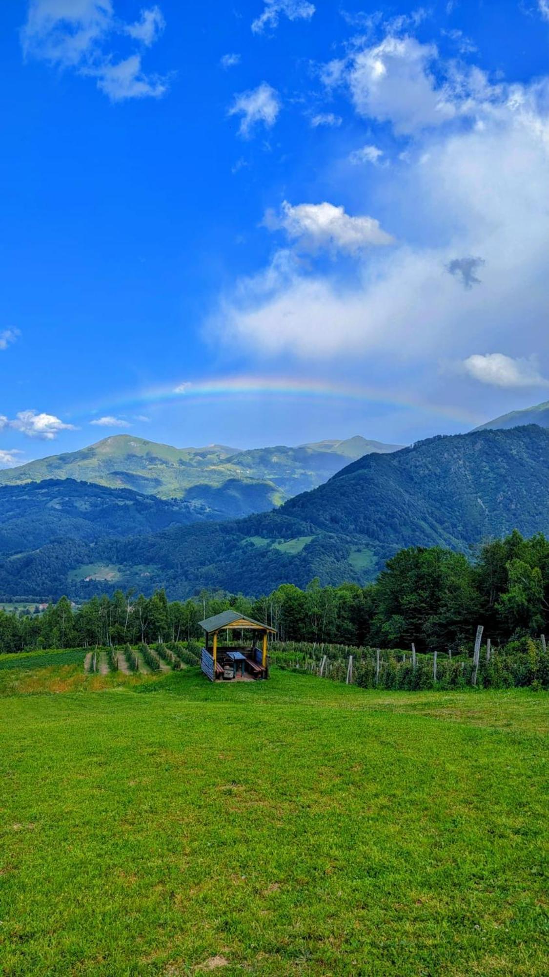 Kolibe Coric Villa Mojkovac Buitenkant foto
