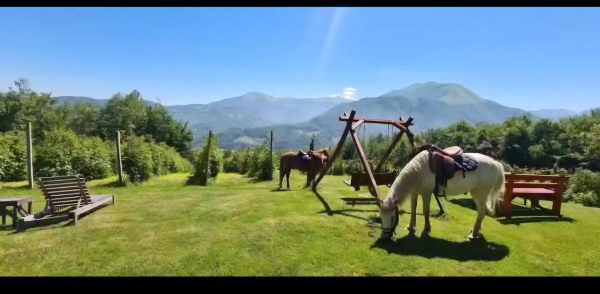 Kolibe Coric Villa Mojkovac Buitenkant foto