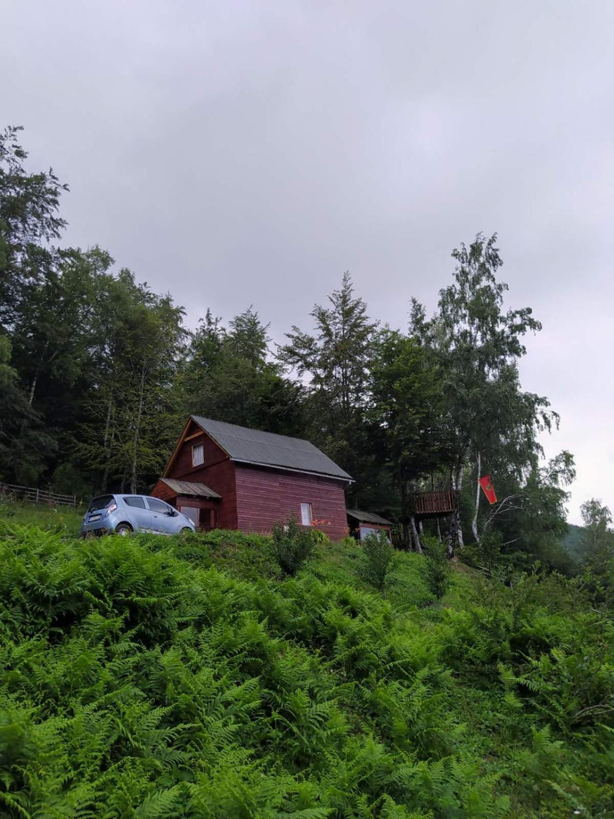 Kolibe Coric Villa Mojkovac Buitenkant foto