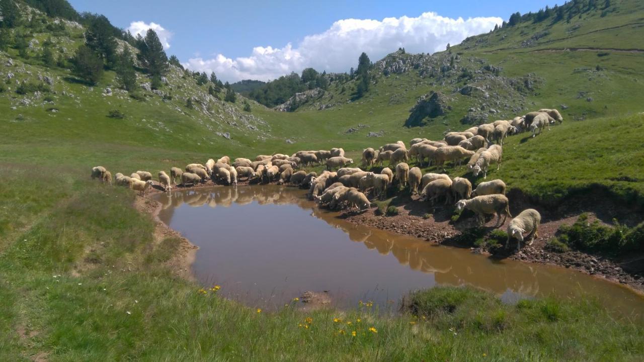 Kolibe Coric Villa Mojkovac Buitenkant foto